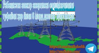 Ўзбекистон электр энергияси етишмовчилиги туфайли ҳар йили 6 млрд доллар йўқотмоқда