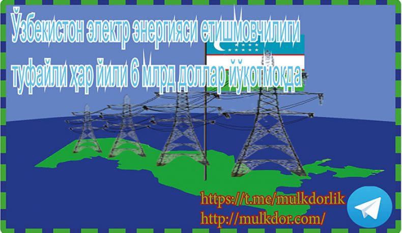 Ўзбекистон электр энергияси етишмовчилиги туфайли ҳар йили 6 млрд доллар йўқотмоқда