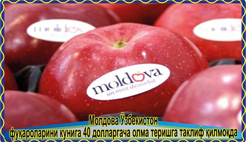 Молдова Ўзбекистон фуқароларини кунига 40 долларгача олма теришга таклиф қилмоқда