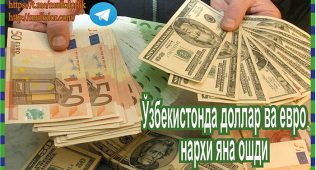 Ўзбекистонда доллар ва евро нархи яна ошди